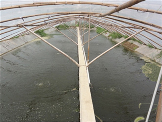 龍鐵污水處理成功案例