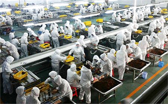 龍鐵鼓風(fēng)機:為你的生產(chǎn)制造服務(wù)保障! 龍鐵鼓風(fēng)機:為你的生產(chǎn)制造服務(wù)保障!