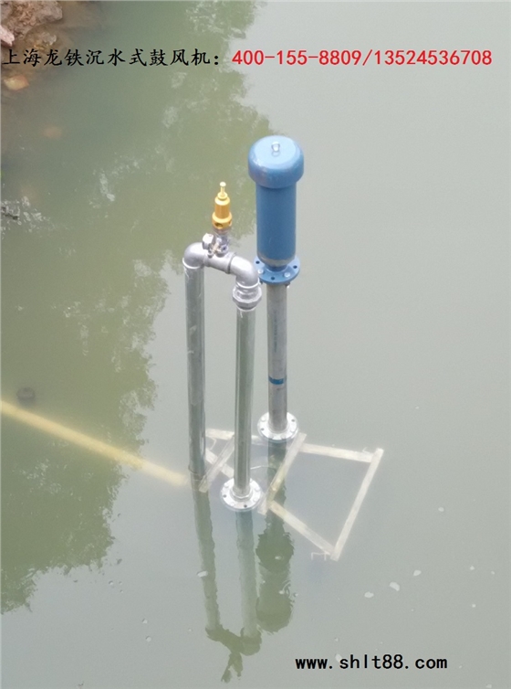 沉水風(fēng)機(jī) 沉水風(fēng)機(jī)