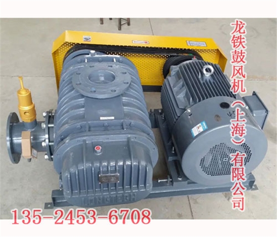 沼氣專用羅茨風(fēng)機 沼氣專用羅茨風(fēng)機