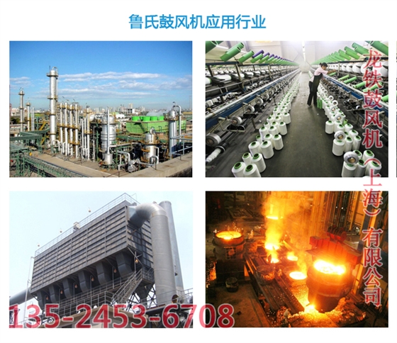 羅茨鼓風(fēng)機用途 羅茨鼓風(fēng)機用途