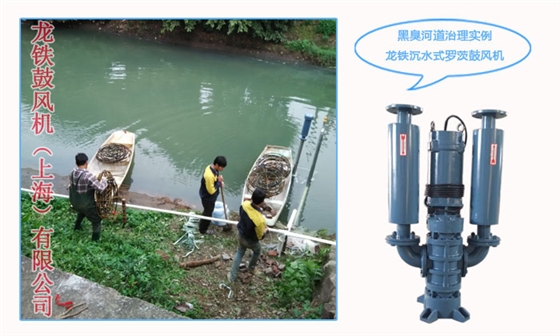 污水處理鼓風(fēng)機(jī) 污水處理鼓風(fēng)機(jī)