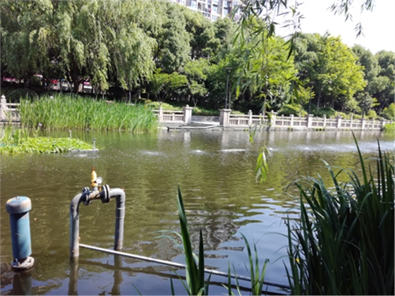 公園污水處理 公園污水處理