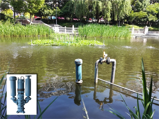 沉水見(jiàn)機(jī)安裝效果圖 沉水見(jiàn)機(jī)安裝效果圖