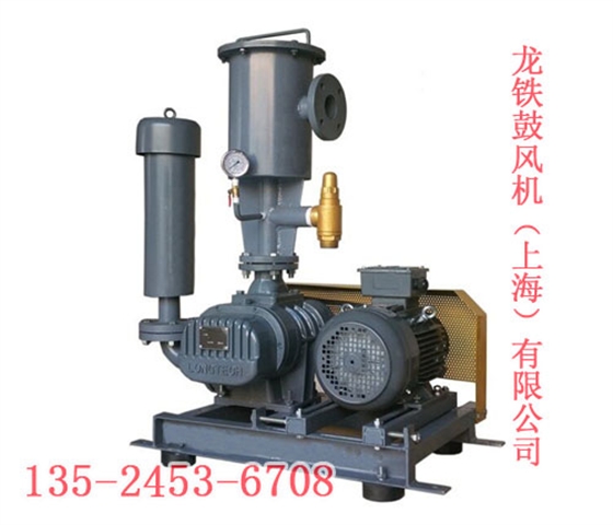 三葉羅茨風(fēng)機(jī)真空型流量特性 三葉羅茨風(fēng)機(jī)真空型流量特性