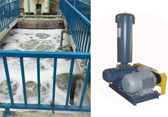 污水處理羅茨鼓風(fēng)機.jpg 污水處理羅茨鼓風(fēng)機.jpg