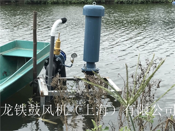 龍鐵沉水式鼓風(fēng)機(jī)多少錢？.jpg