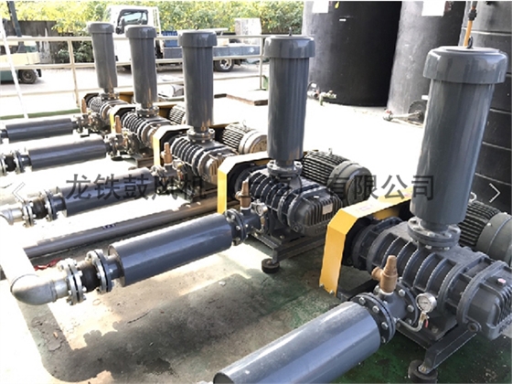 龍鐵羅茨鼓風(fēng)機(jī) 龍鐵羅茨鼓風(fēng)機(jī)