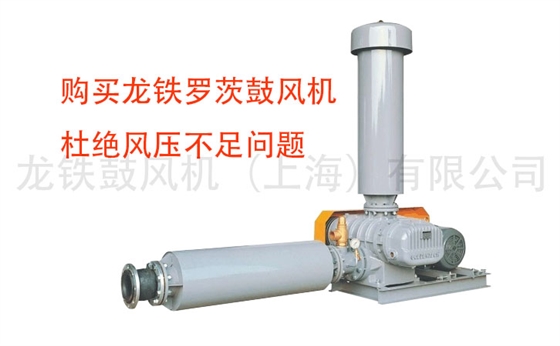 羅茨鼓風(fēng)機(jī) 羅茨鼓風(fēng)機(jī)