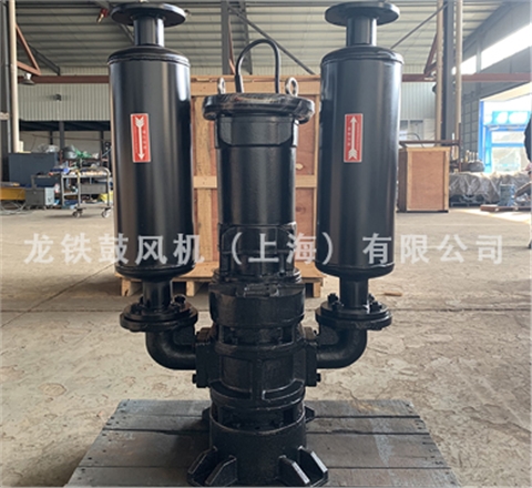 沉水魯氏鼓風(fēng)機(jī) 沉水魯氏鼓風(fēng)機(jī)