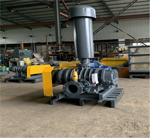 沉水魯氏鼓風(fēng)機(jī) 沉水魯氏鼓風(fēng)機(jī)