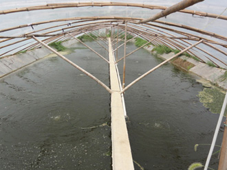 龍鐵污水處理成功案例