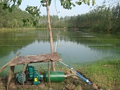 水產(chǎn)養(yǎng)殖鼓風機