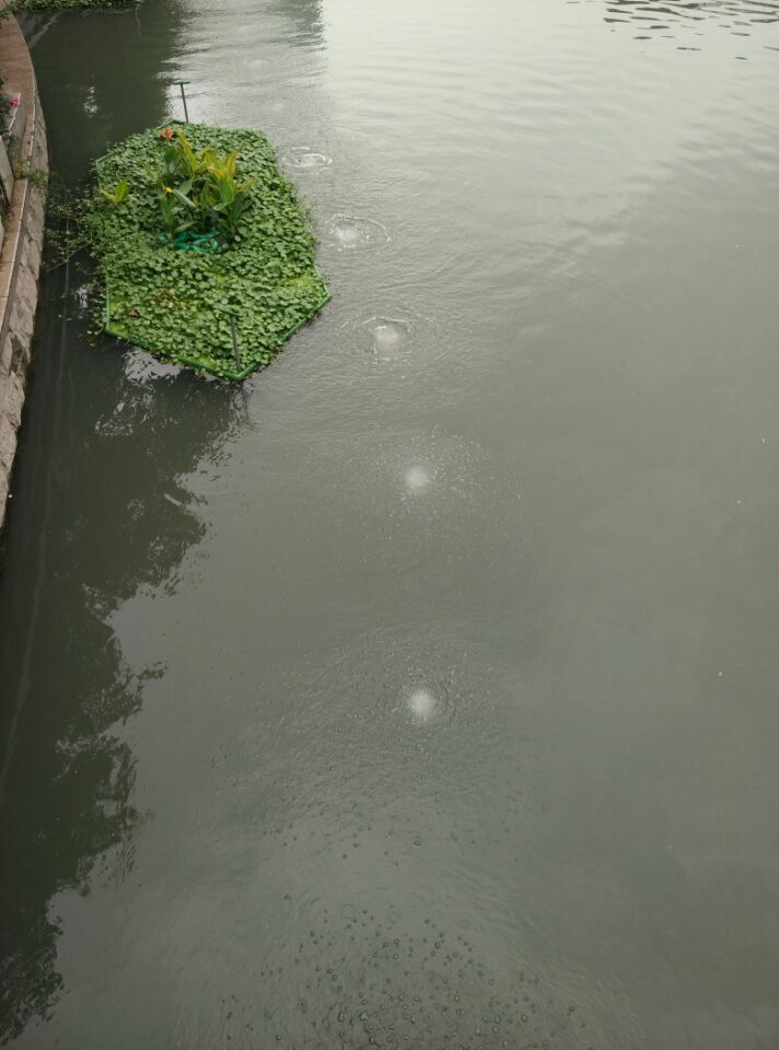 龍鐵沉水式鼓風(fēng)機廠家 龍鐵沉水式鼓風(fēng)機廠家