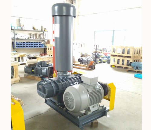 龍鐵羅茨風(fēng)機(jī) 龍鐵羅茨風(fēng)機(jī)