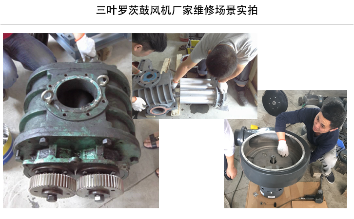 三葉羅茨鼓風機維修場景 三葉羅茨鼓風機維修場景