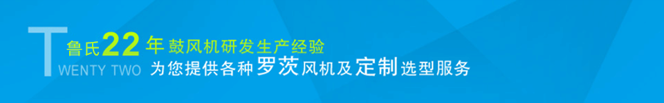 龍鐵鼓風(fēng)機(jī)--中國羅茨鼓風(fēng)機(jī)供應(yīng)商