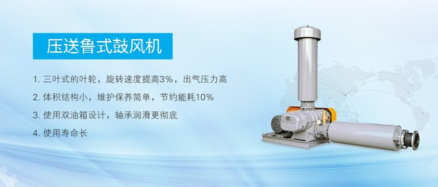 龍鐵鼓風(fēng)機--中國羅茨鼓風(fēng)機供應(yīng)商